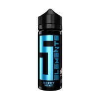 5EL Berry Mint 10/120ml