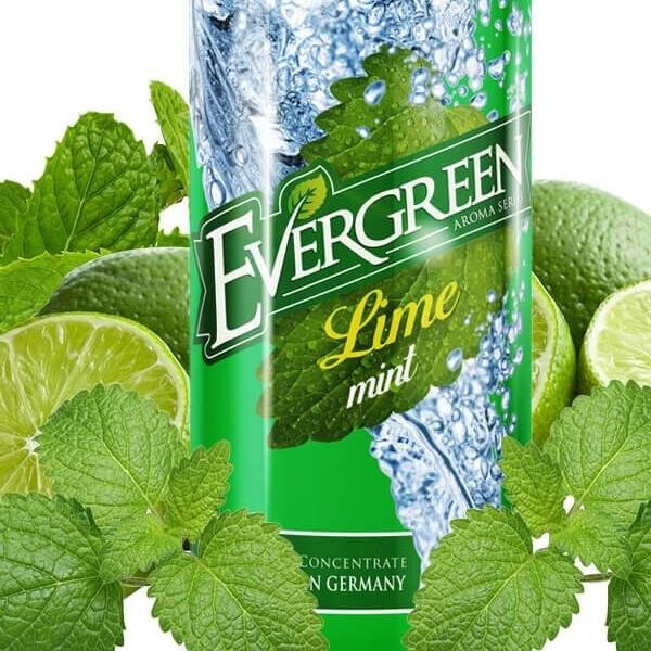 Evergreen - Lime Mint 8/120ml