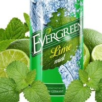 Evergreen - Lime Mint 8/120ml