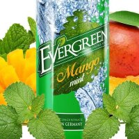 Evergreen - Mango Mint 8/120ml