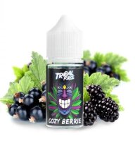Tribal Force Aroma - Cozy Berrie 30ml