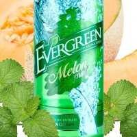 Evergreen - Melon Mint 8/120ml