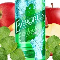 Evergreen - Apple Mint 8/120ml