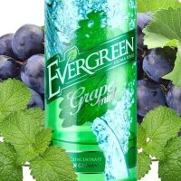 Evergreen - Grape Mint 30/120ml